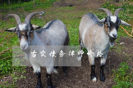 古交债务律师价格 古交债务律师价格