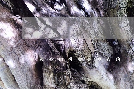 古交合同纠纷律师咨询 古交合同纠纷律师咨询