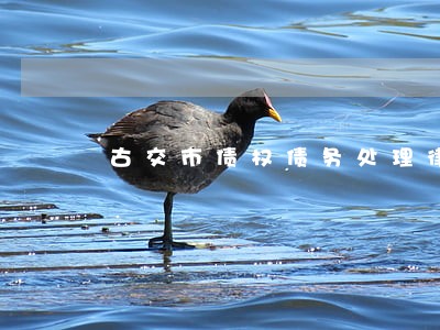 古交市债权债务处理律师纠纷 古交市债权债务处理律师纠纷