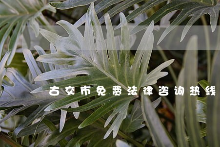 古交市免费法律咨询热线 古交市免费法律咨询热线
