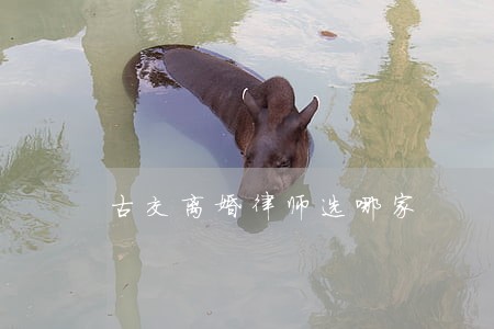 古交离婚律师选哪家 古交离婚律师选哪家