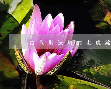 古代刑法用的老虎凳是什么 古代刑法用的老虎凳是什么