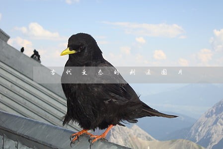 古代变态的刑法图片