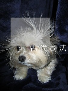 古代司法制度的问题 古代司法制度的问题