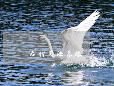 古代司法系统 古代司法系统