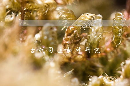 古代司法翻译研究 古代司法翻译研究