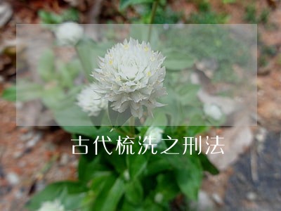 古代梳洗之刑法 古代梳洗之刑法