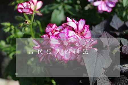 古代犯人的刑法 古代犯人的刑法