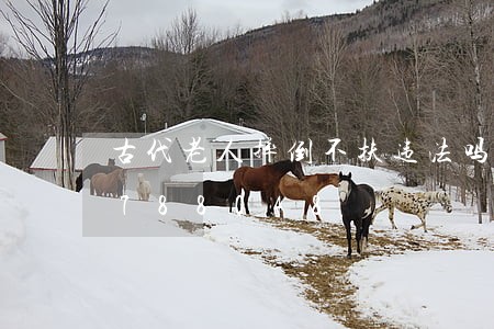 古代老人摔倒不扶违法吗/2023020788048 古代老人摔倒不扶违法吗/2023020788048