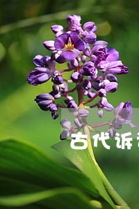 古代诉讼学著作