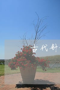 古代针对女子裆部的刑法 古代针对女子裆部的刑法