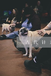 古代针对裆下的刑法 古代针对裆下的刑法