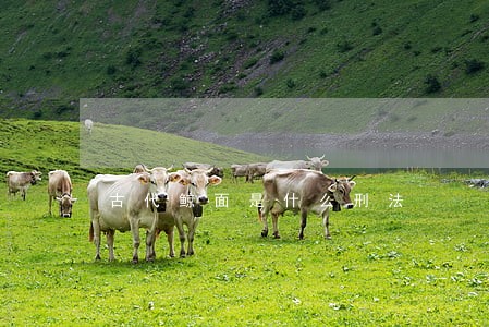 古代鲸面是什么刑法 古代鲸面是什么刑法