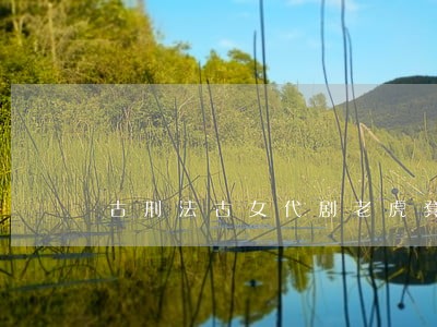 古刑法古女代剧老虎凳 古刑法古女代剧老虎凳