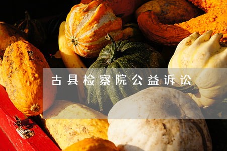 古县检察院公益诉讼
