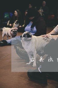 古县法院开展清收不良贷款案 古县法院开展清收不良贷款案