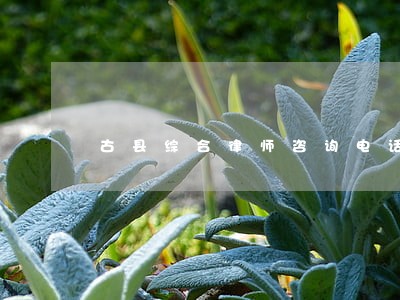 古县综合律师咨询电话 古县综合律师咨询电话