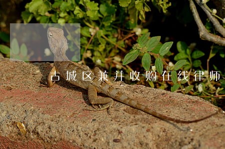 古城区兼并收购在线律师 古城区兼并收购在线律师