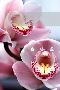古塔区p2p追讨律师 古塔区p2p追讨律师