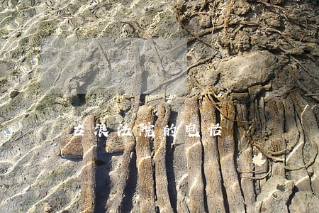 古浪法院的电话 古浪法院的电话