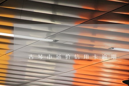 古琴市场价信用卡逾期 古琴市场价信用卡逾期