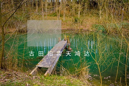 古田拍卖天鸿达 古田拍卖天鸿达