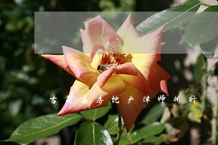 古蔺县房地产律师排行 古蔺县房地产律师排行