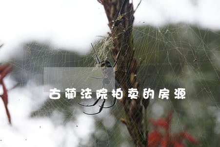 古蔺法院拍卖的房源 古蔺法院拍卖的房源
