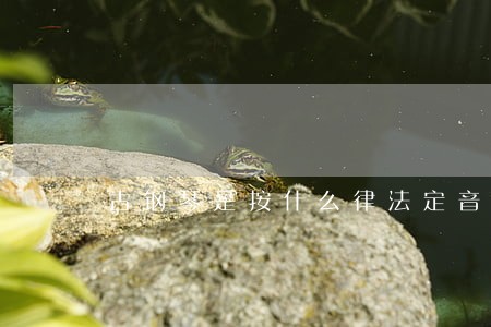 古钢琴是按什么律法定音的 古钢琴是按什么律法定音的