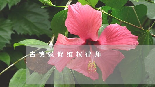 古镇装修维权律师 古镇装修维权律师