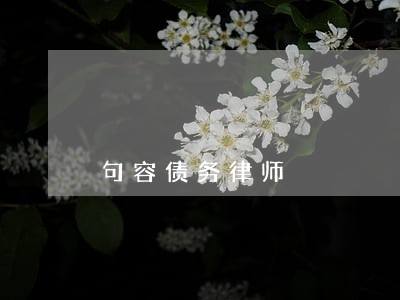 句容债务律师 句容债务律师