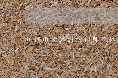 句容市债务纠纷律师事务所 句容市债务纠纷律师事务所
