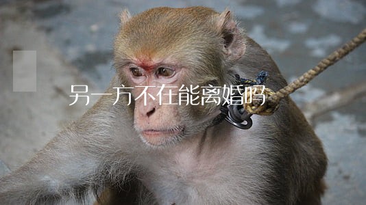 另一方不在能离婚吗 另一方不在能离婚吗