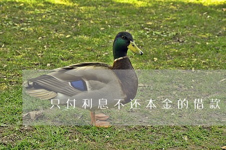 只付利息不还本金的借款 只付利息不还本金的借款