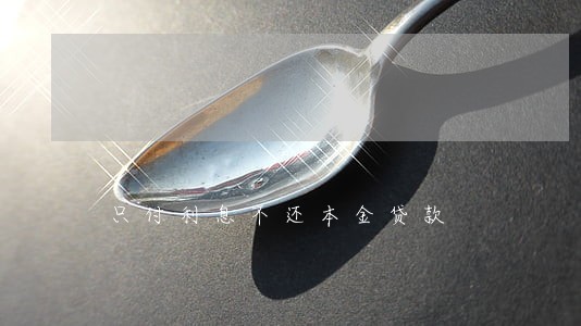 只付利息不还本金贷款 只付利息不还本金贷款
