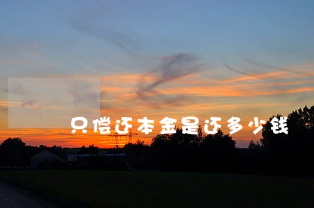 只偿还本金是还多少钱 只偿还本金是还多少钱