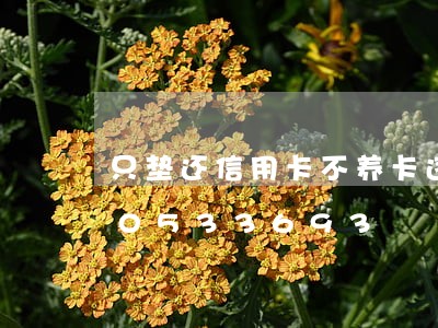 只垫还信用卡不养卡违法吗/2023020533693 只垫还信用卡不养卡违法吗/2023020533693