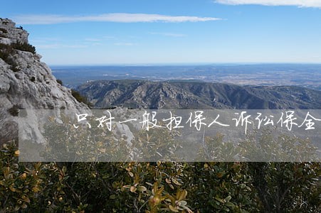只对一般担保人诉讼保全