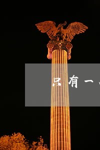 只有一个网贷逾期 只有一个网贷逾期