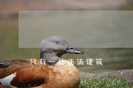 只有一处违法建筑 只有一处违法建筑