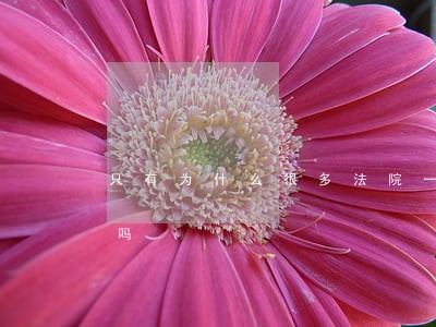 只有为什么很多法院一套房子能被强制执行吗 只有为什么很多法院一套房子能被强制执行吗