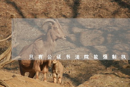 只有公证书法院能强制执行吗 只有公证书法院能强制执行吗