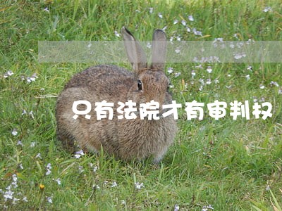 只有法院才有审判权 只有法院才有审判权