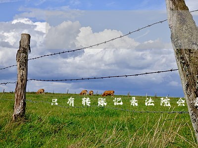只有转账记录法院会受理吗 只有转账记录法院会受理吗