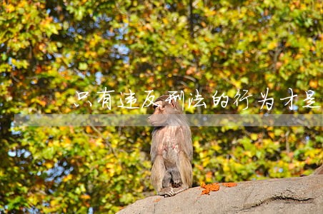 只有违反刑法的行为才是犯罪行为