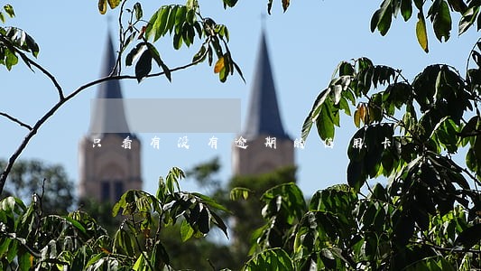 只看有没有逾期的信用卡 只看有没有逾期的信用卡