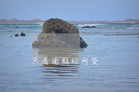 只看逾期的网贷