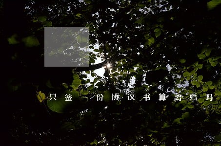只签一份协议书算离婚吗 只签一份协议书算离婚吗