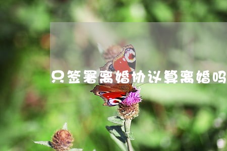 只签署离婚协议算离婚吗 只签署离婚协议算离婚吗