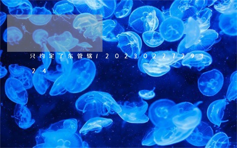 只约定了东管辖/2023022729324